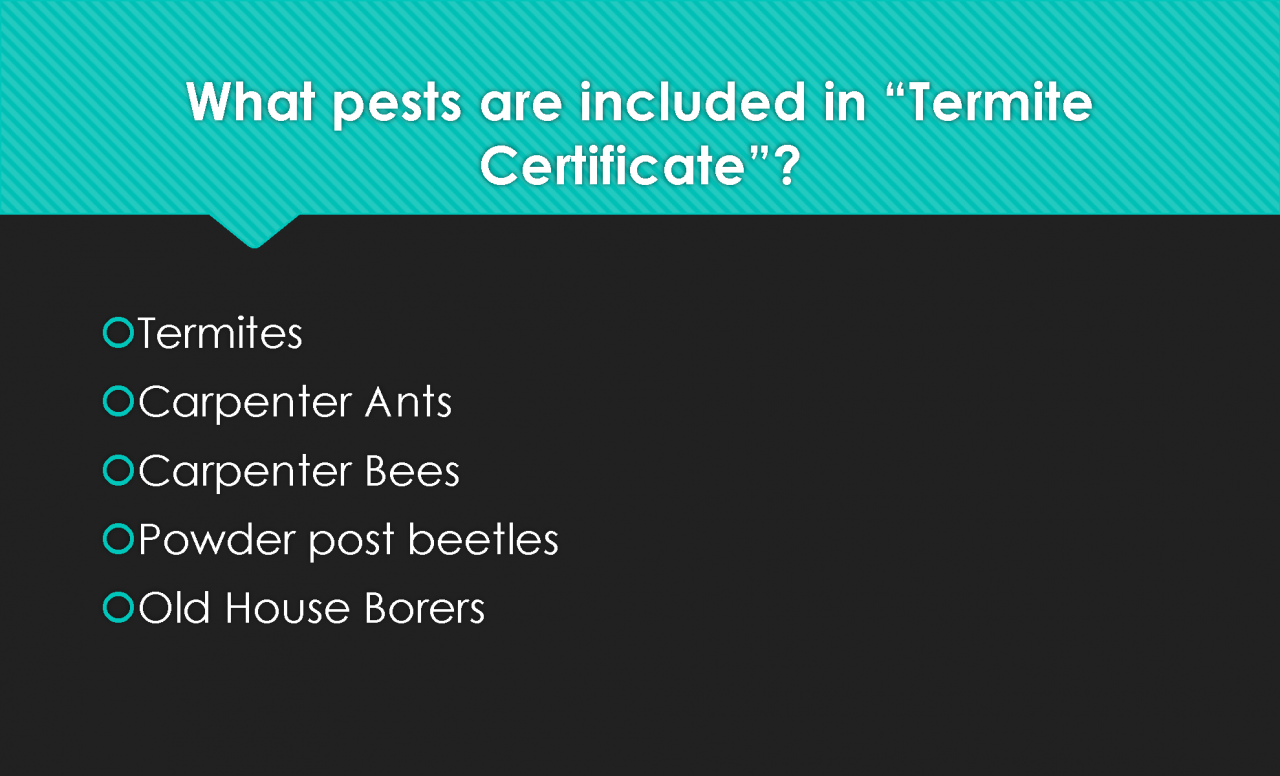 Wood Destroying Insect Report Wdir Inspection Certificate