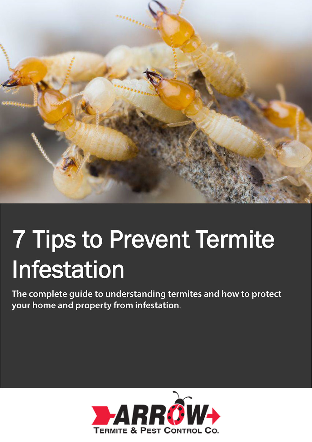 termite-damage-tips-ebook - Arrow Termite and Pest Control