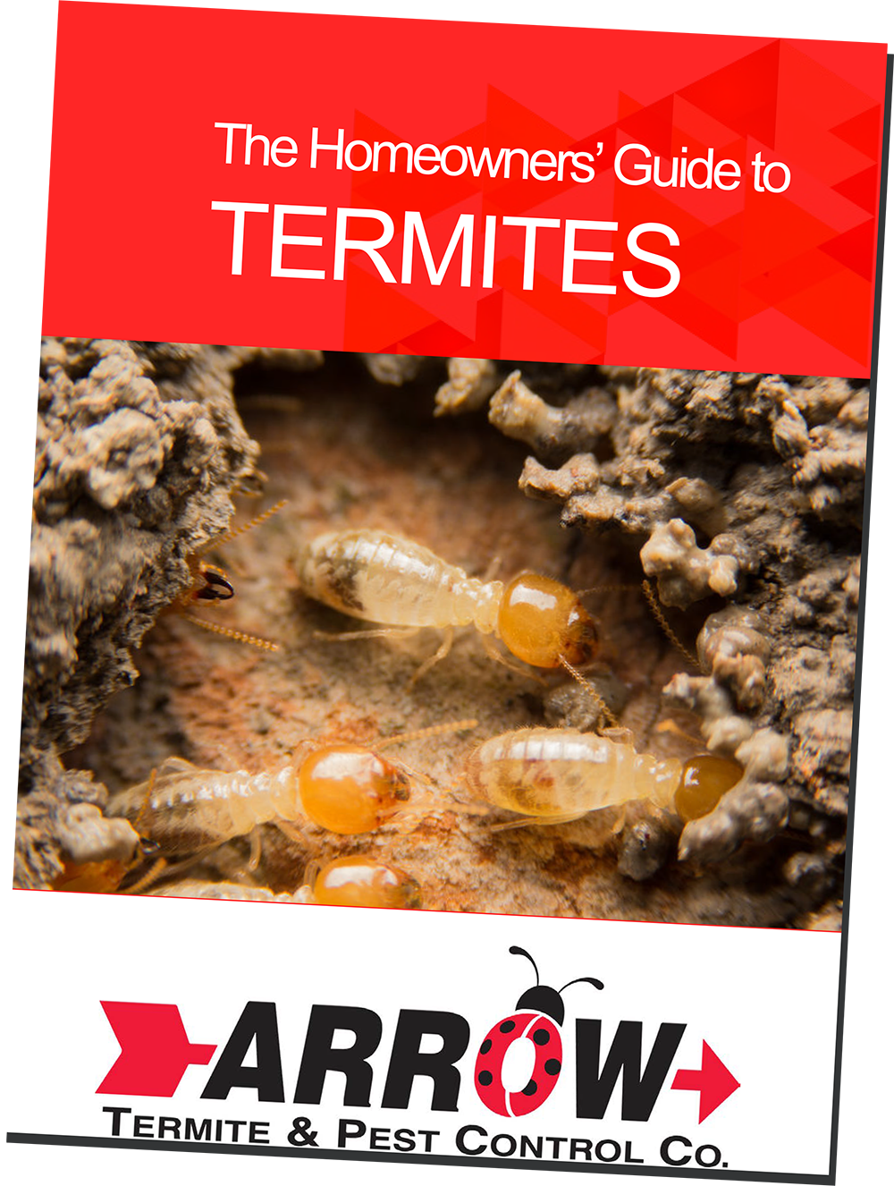 Homeowner-guide-termites-ebook-download - Arrow Termite And Pest Control